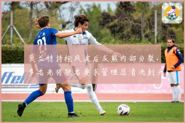 莫兰特持枪风波后灰熊内部分裂，多名老将联名要求管理层清洗刺头