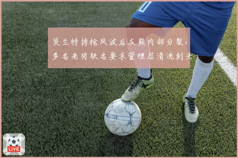 莫兰特持枪风波后灰熊内部分裂，多名老将联名要求管理层清洗刺头